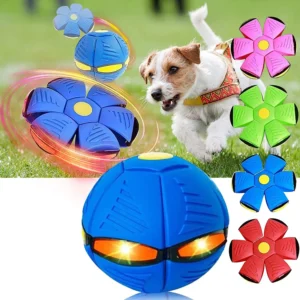 צעצוע כדור הקסם וצלחת מעופפת לכלבים